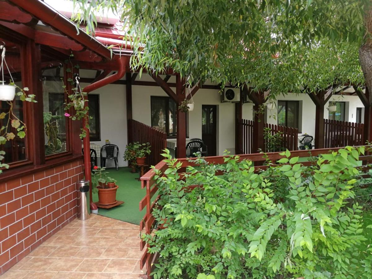 בית הארחה Pensiunea Casa Matei Berca